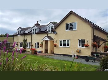 Roomgo UK - large double en-suite room, Newtown - £570 pcm