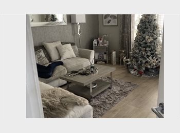 Roomgo UK - Room for rent in well decorated, fully furnished property with links to city centre in 20 minutes., Carmyle - £550 pcm