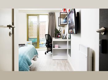 Roomgo UK - Room Takeover VITA 13th floor, Belfast - £297 pcm