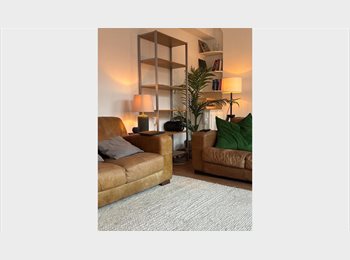 Roomgo UK - 2-bedroom flat in Shoreditch, Shoreditch - £2,750 pcm