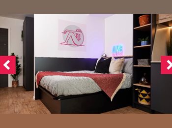 Roomgo UK - Spacious 20sqm Studio Room | Garden & Tree Views | Vita Student Warwick Cannon Park, Canley - £1,456 pcm