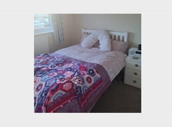 Roomgo UK - Quiet, tidy and friendly home, Cirencester - £450 pcm
