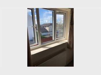 Roomgo UK - Double room with private batht, Newton Abbot - £1,000 pcm