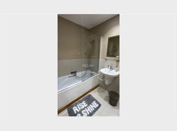 Roomgo UK - Double room with private bathroom, Colchester - £580 pcm