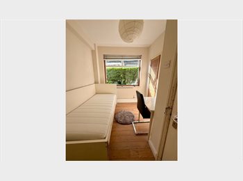 Roomgo UK - Fantastic Single Room, Forest Hill - £690 pcm
