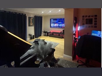 Roomgo UK - Spacious Double Room Available in a Stylish, Well-Kept Home, Basildon - £680 pcm