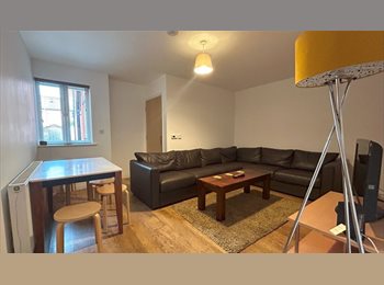 Roomgo UK - 140 Leopold Street, Loughborough - £498 pcm