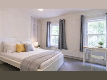 Roomgo UK - Looking for a Female flatmate to complete our student group for a double bedroom £800 in CB1, Petersfield - £800 pcm