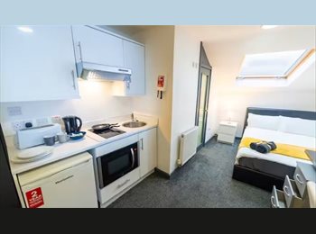 Roomgo UK - Top floor studio close to UoB, Selly Oak - £1,100 pcm