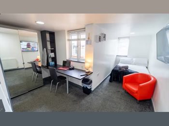 Roomgo UK - Spacious studio available, Selly Oak - £1,200 pcm