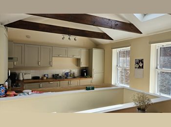 Roomgo UK - Unfurnished double room for cat friendly flatmate, Salisbury - £537 pcm