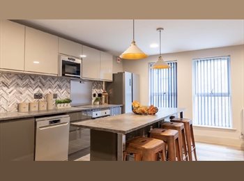 Roomgo UK - Student Room, Bishopston, July 10th Start, St Andrew's - £192 pcm