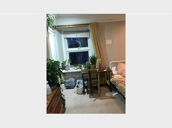 Roomgo UK - Double Room, Plymouth - £550 pcm