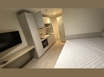 Roomgo UK - Edinburgh studio sublet at a bargain price, Restalrig - £1,000 pcm