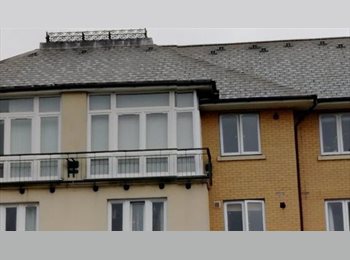 Roomgo UK - Amazing Top Floor 1 Bed F.F Apartment in the Bay, Tiger Bay - £1,300 pcm