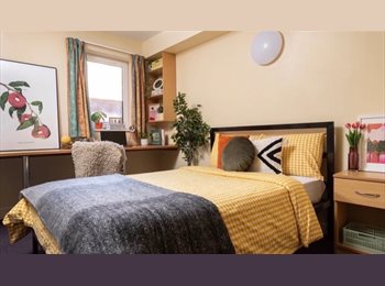 Roomgo UK - Room in a shared flat. Student accommodation in Unite Students, Liverpool - £139 pcm