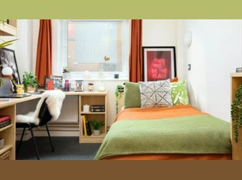 Roomgo UK - Ensuite Student Accomm available for £140 pw ONLY (bills & utilities included), Birmingham - £560 pcm