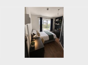 Roomgo UK - Bright Double En Suite Room – Fully Furnished – Bills Included – Near Elizabeth Line, Shooter's Hill - £935 pcm