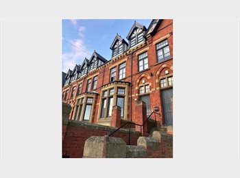 Roomgo UK - En-suite room available in Woodhouse (all girls), Leeds - £606 pcm