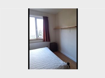 Roomgo UK - Large double room  £625 p.c.m. inclusive of all bills, Falmouth - £625 pcm