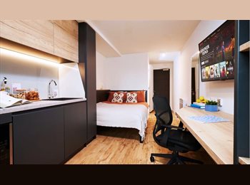 Roomgo UK - Studio Flat Available, Cardiff - £1,331 pcm
