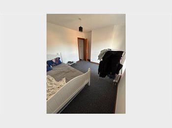 Roomgo UK - 1 Double bed Room for 1 person, Reading - £500 pcm