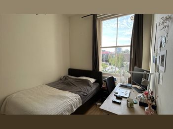 Roomgo UK - Bright 2-Bed Flat in Maida Vale W9, Maida Hill - £1,200 pcm