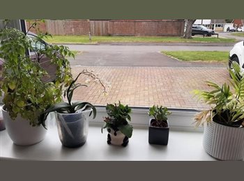 Roomgo UK - Double room in Covingham, Swindon, Swindon - £650 pcm