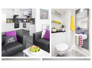 Roomgo UK - Student Flat Avalible, Liverpool - £676 pcm