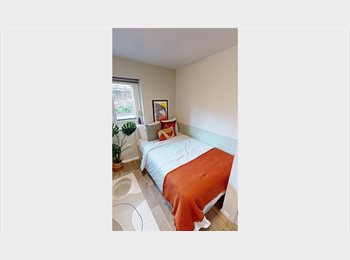 Roomgo UK - Looking for a replacement, Bruntsfield - £790 pcm