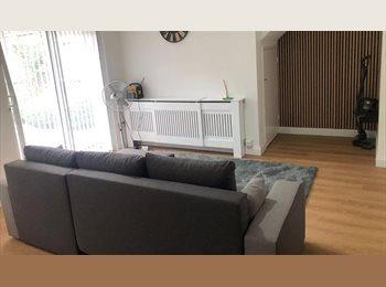 Roomgo UK - Affordable,Cosy Double sofa bed in Central Farnham, Farnham - £500 pcm