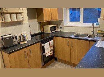 Roomgo UK - Double room central Plymouth £550 all inclusive, Plymouth - £550 pcm