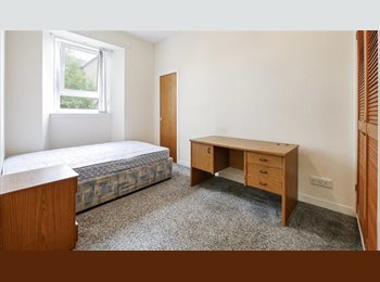 Roomgo UK - Double Room Available – Dundee DD1, Dundee - £400 pcm
