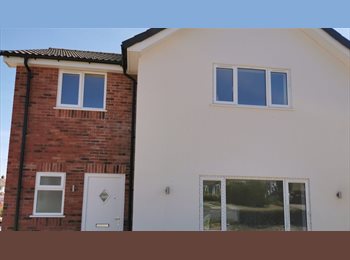 Roomgo UK - Room Sutton Coldfield, Reddicap Heath - £100 pcm