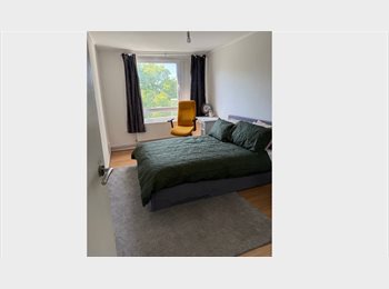 Roomgo UK - Bright Double Room in Friendly N17 Maisonette — Female Professional, Bills Included, Tottenham Hale - £850 pcm