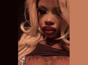 Roomgo UK - Rue - 18 - Sheffield