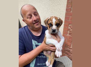 Roomgo UK - Nick - 51 - Newton Abbot