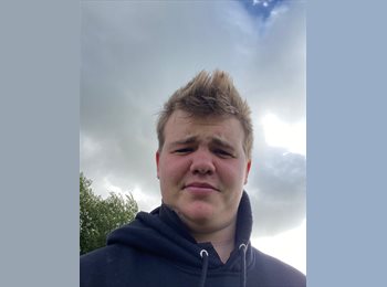 Roomgo UK - Toby - 20 - Wrexham