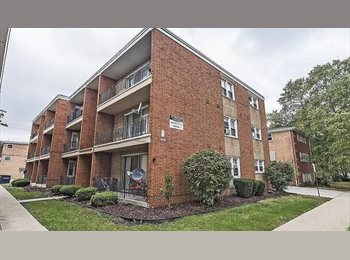 Roomgo US - One bedroom apartment studio, Eden Green - $550 pm