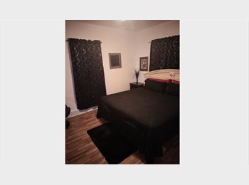 Roomgo US - Room For Rent Older Males, Saint Petersburg - $845 pm