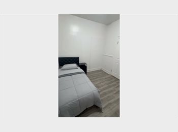 Roomgo US - Furnished Rooms for Rent in Hartford – Utilities Included – Move-In Ready, West Hartford - $800 pm