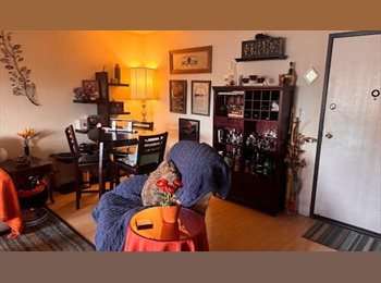 Roomgo US - COZY 1BEDROOM FOR RENT, Melrose - $900 pm