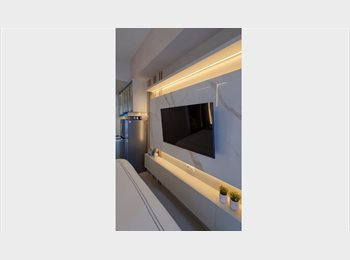 Roomgo US - Private / Spacious, Luxury 1 Bedroom fully furnished unit, Hell's Kitchen - $1,500 pm