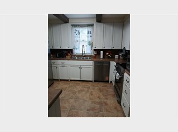 Roomgo US - Cozy friendly neighborhood, United States - $950 pm