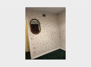 Roomgo US - Lucy’s Room, United States - $650 pm