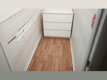 Roomgo US - clean 1bed 1bath room close to UF/Shands Hospital, Gainesville - $525 pm