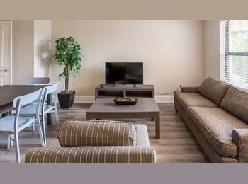 Roomgo US - Halcyon lovely 1bed, Davie - $1,400 pm