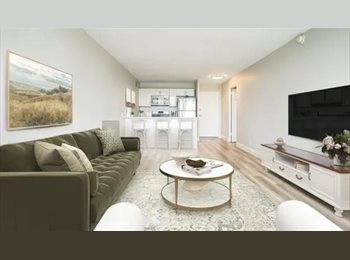 Roomgo US - Chestnut Hill lovely 1bed, Chestnut Hill - $1,200 pm