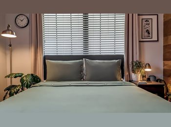 Roomgo US - Room for Rent - Convenient Location, Balcones Heights - $650 pm