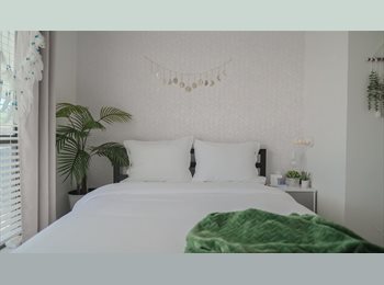 Roomgo US - Room for Rent - Convenient Location, Balcones Heights - $650 pm